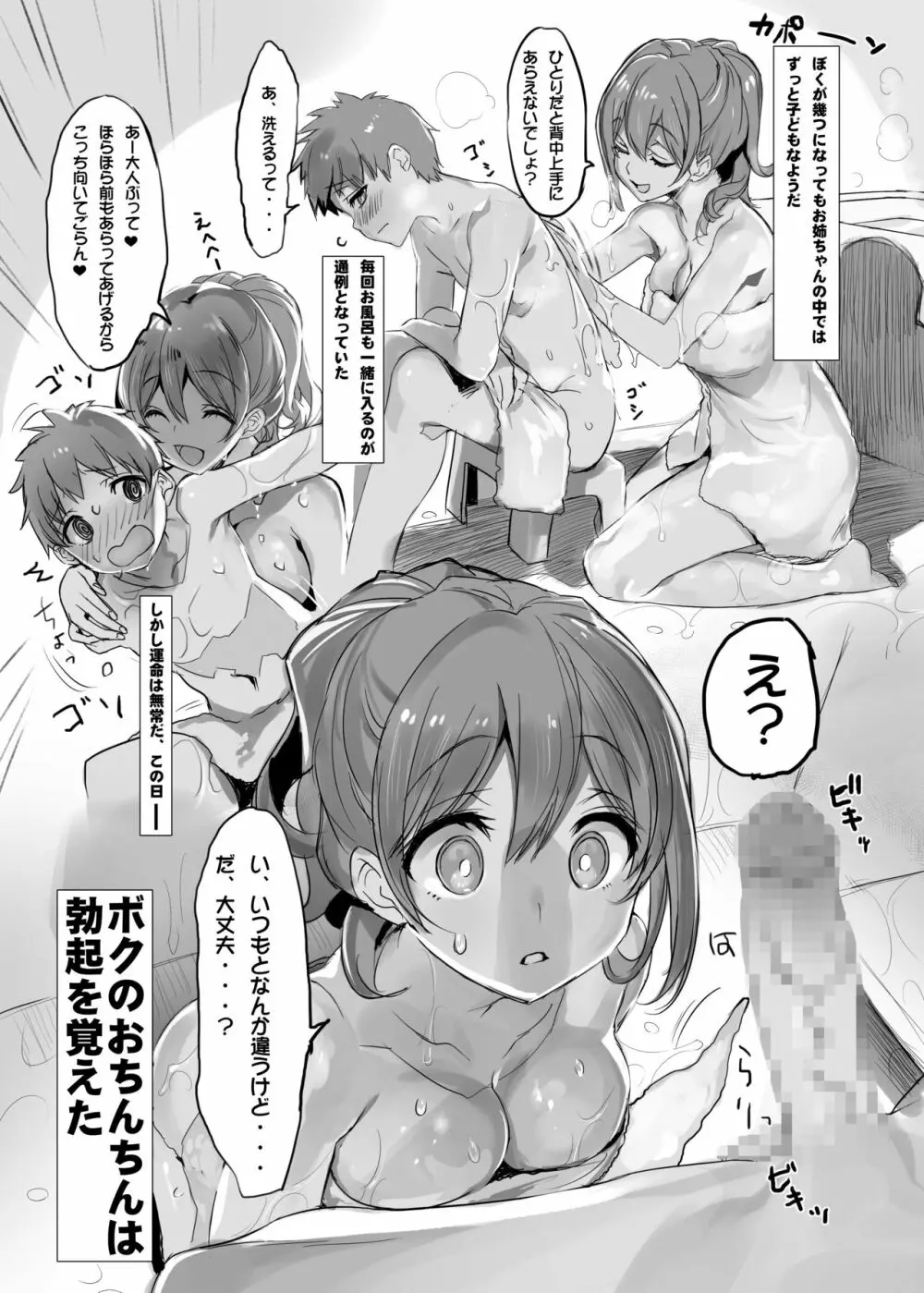 オスになった僕とメスになったおねえちゃん 51ページ