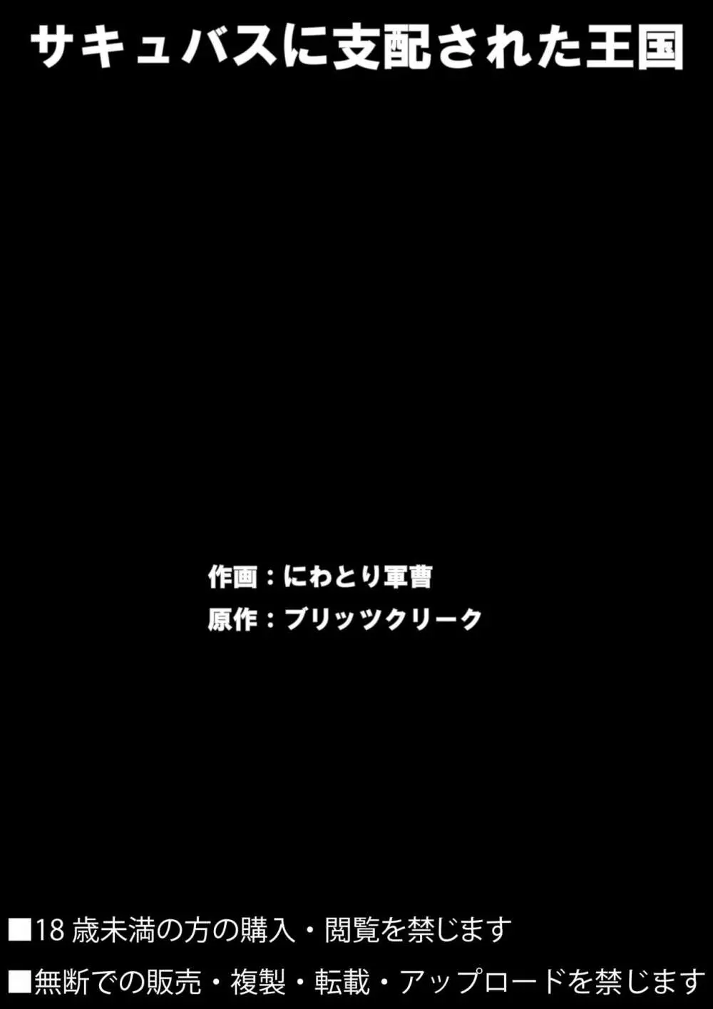 サキュバスに支配された王国 27ページ