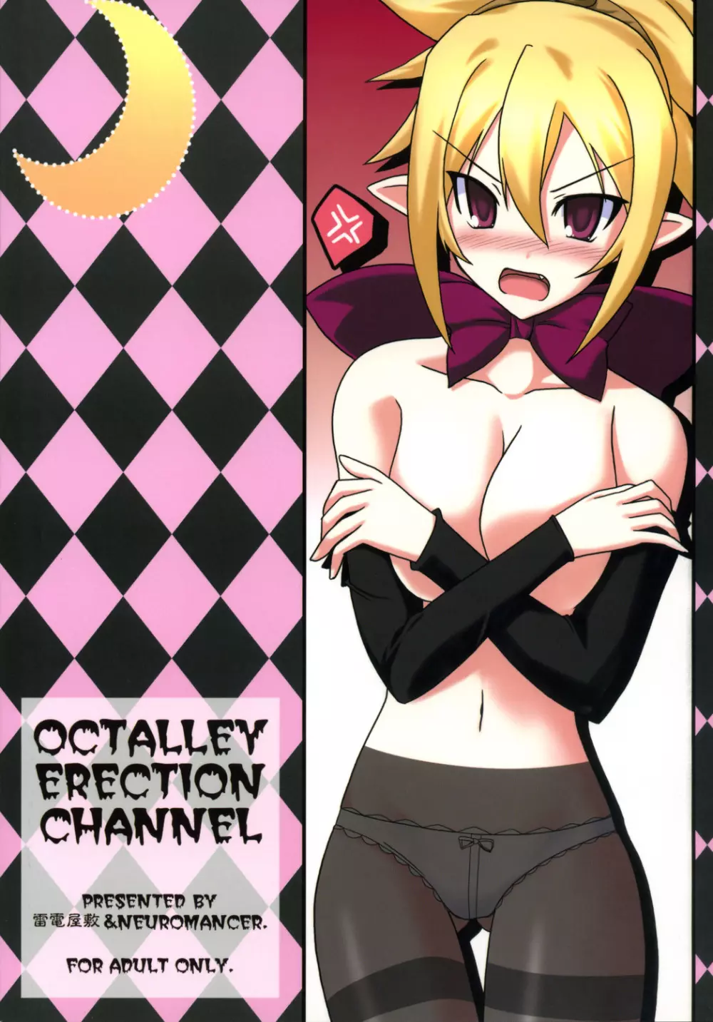 OCTALLEY ERECTION CHANNEL 26ページ