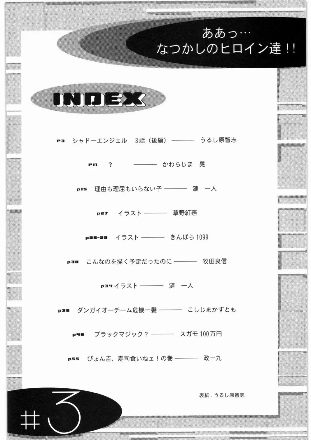 ああっ…なつかしのヒロイン達！！ 3 3ページ