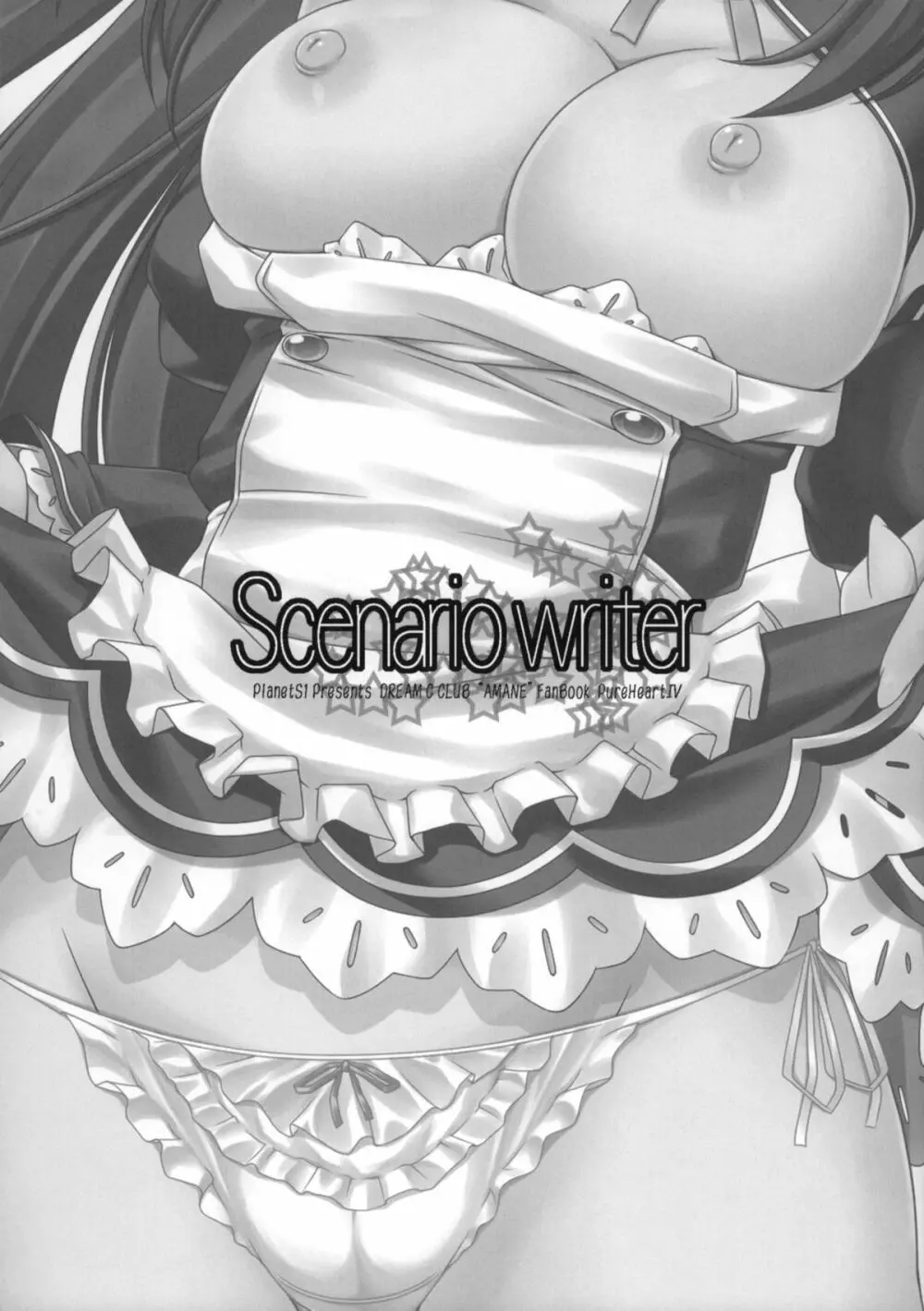 Scenario writer 2ページ