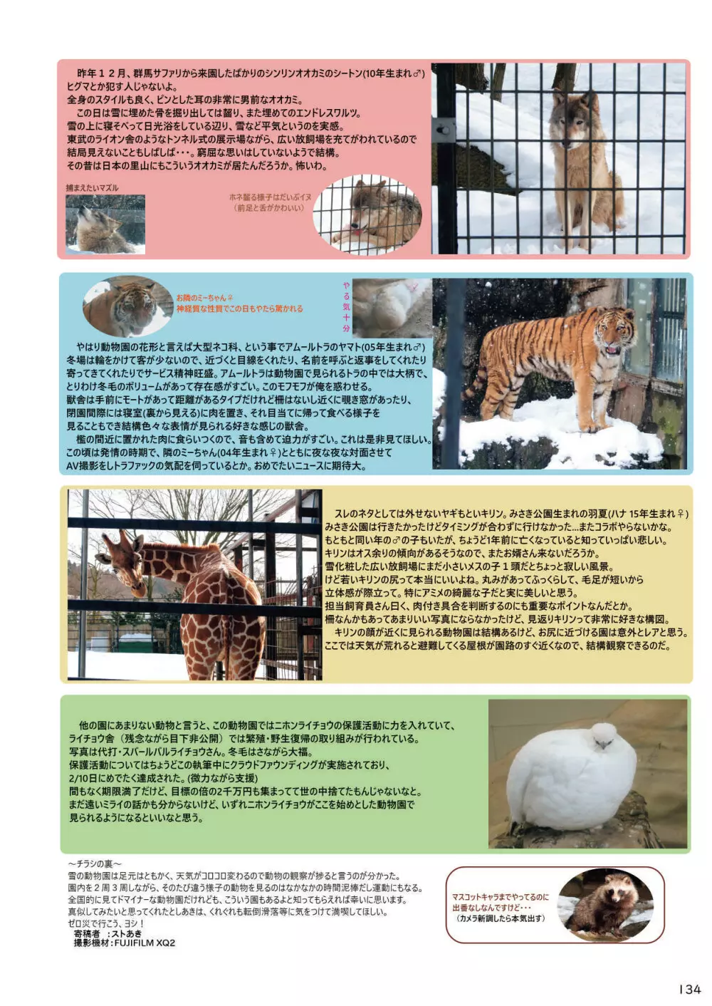 mayけものフレンズスレ合同誌 136ページ