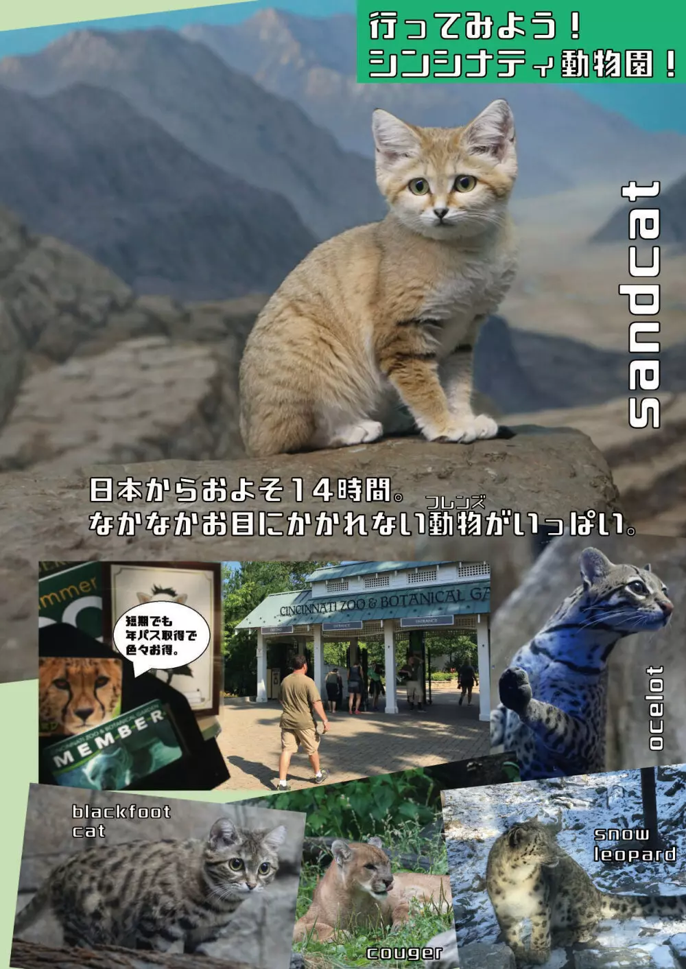 mayけものフレンズスレ合同誌 150ページ