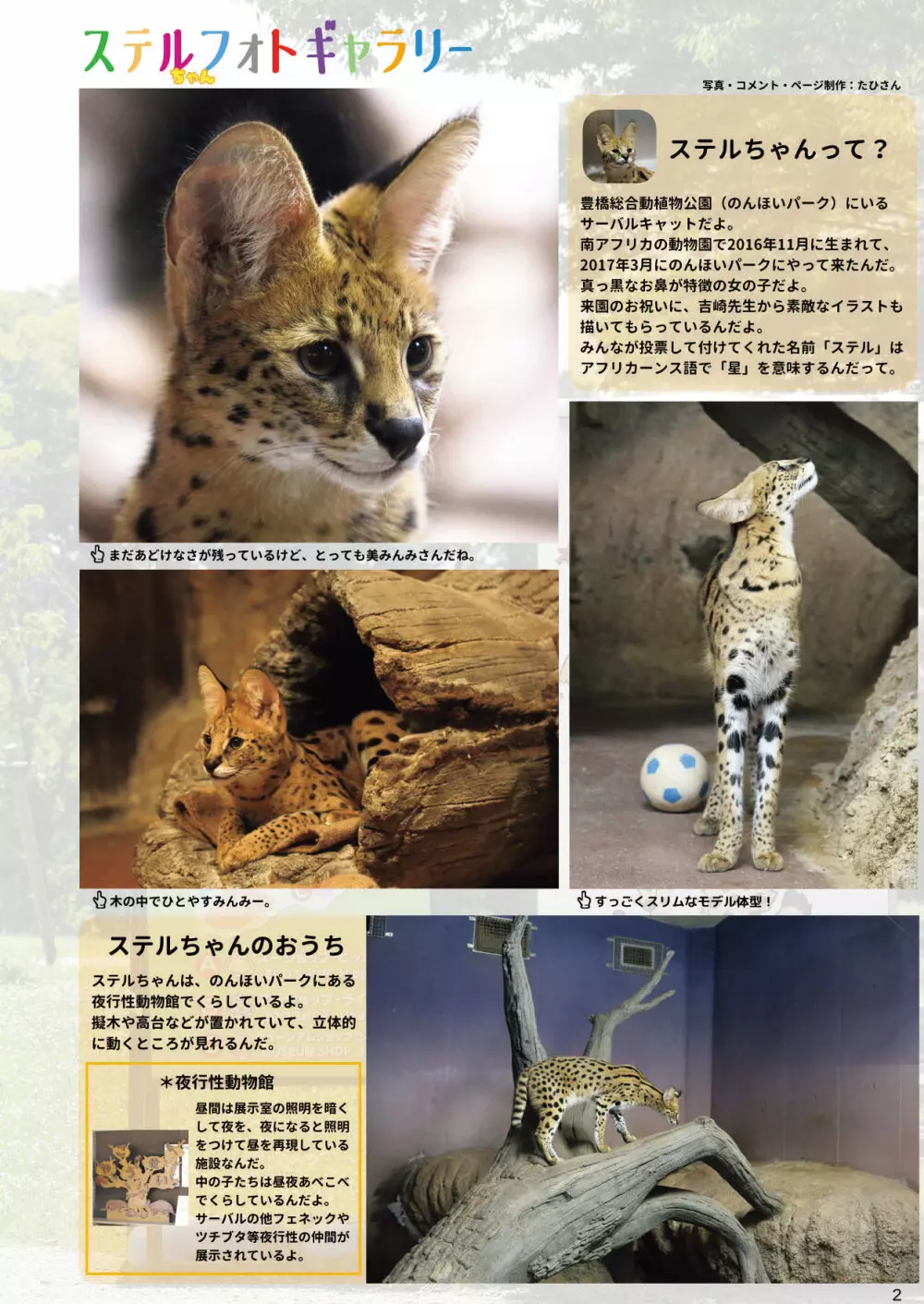 mayけものフレンズスレ合同誌 4ページ