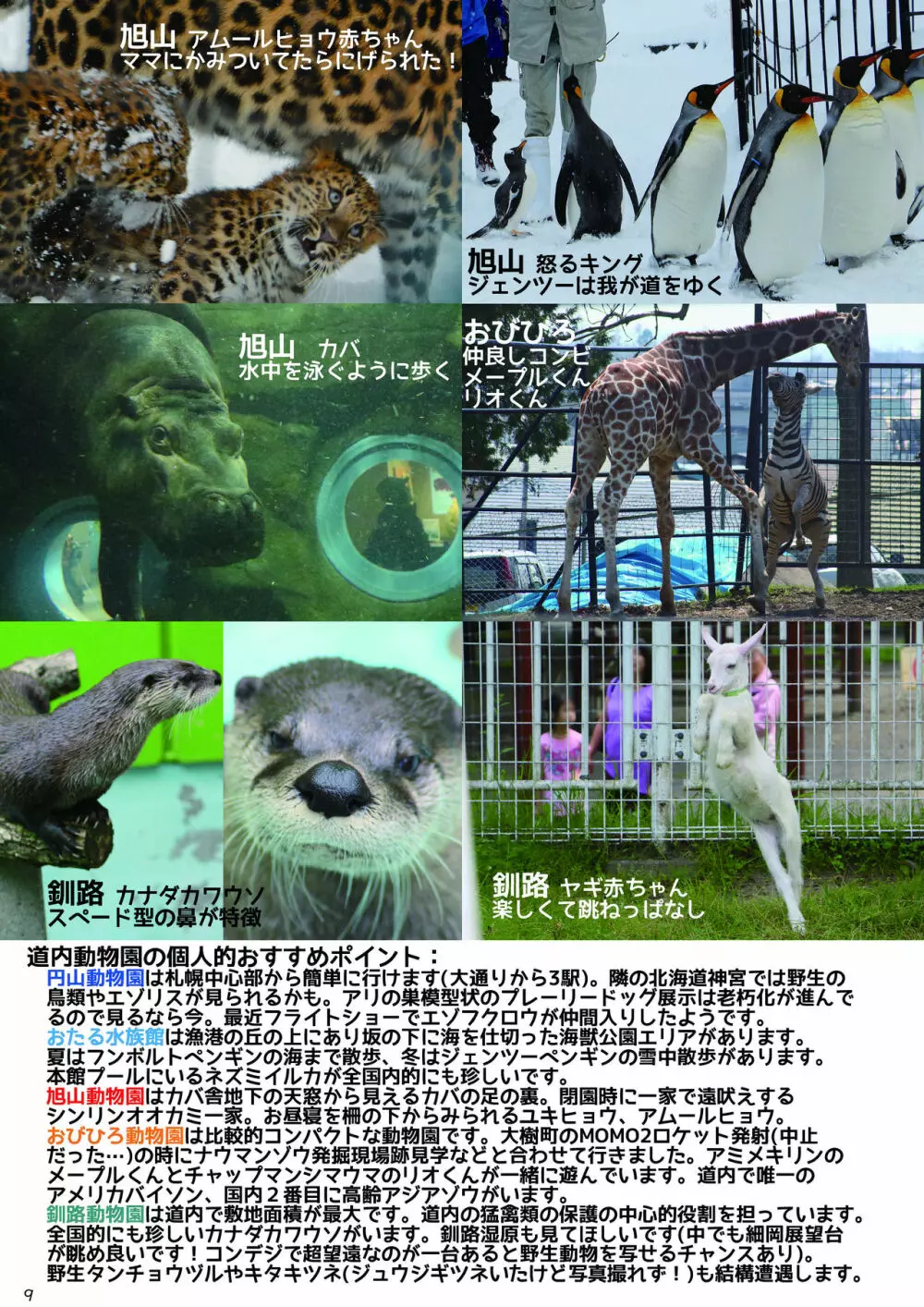 mayけものフレンズスレ合同誌2 11ページ