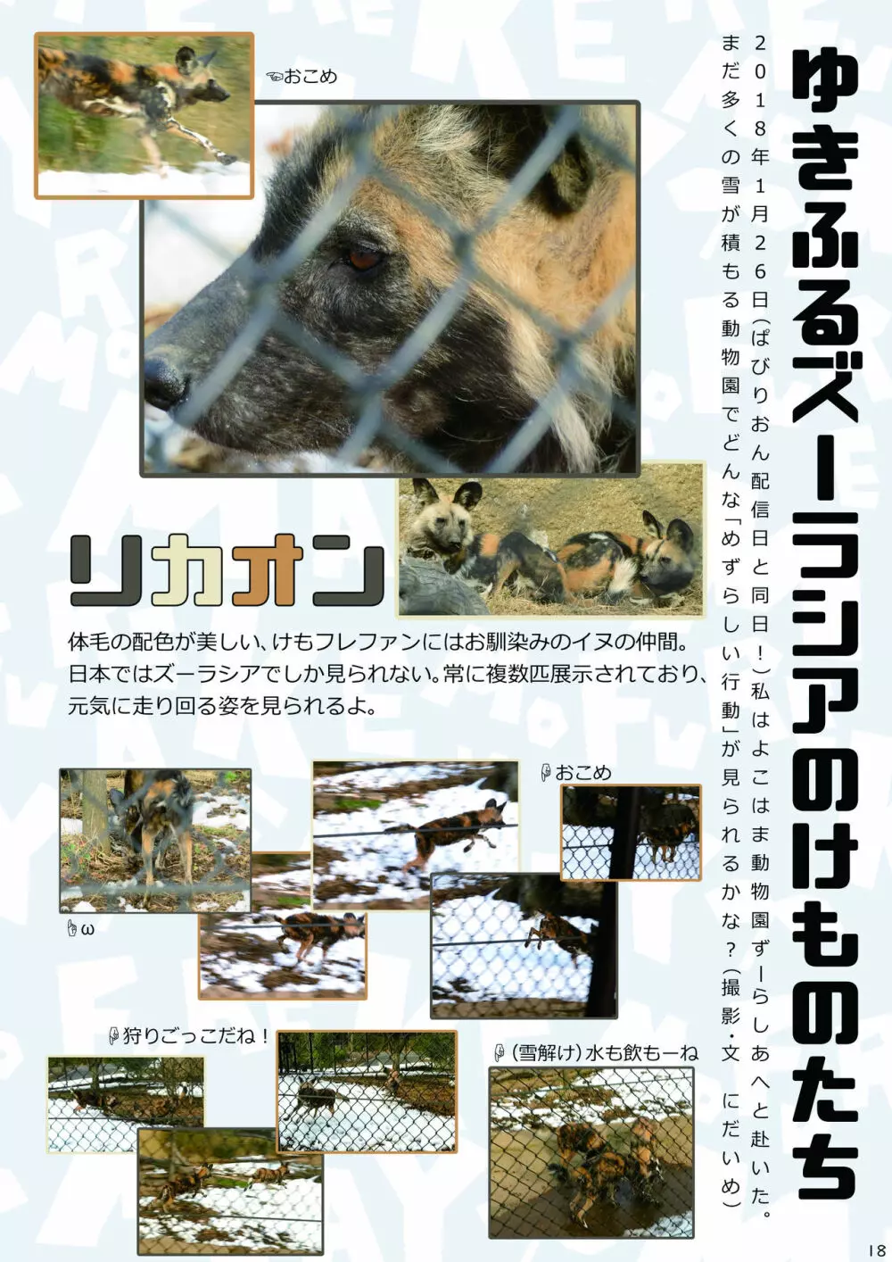 mayけものフレンズスレ合同誌2 20ページ