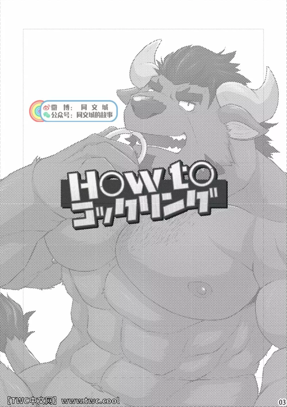 How to コックリング 2ページ