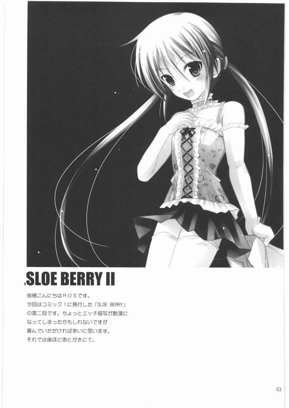 SLOE BERRY II 2ページ