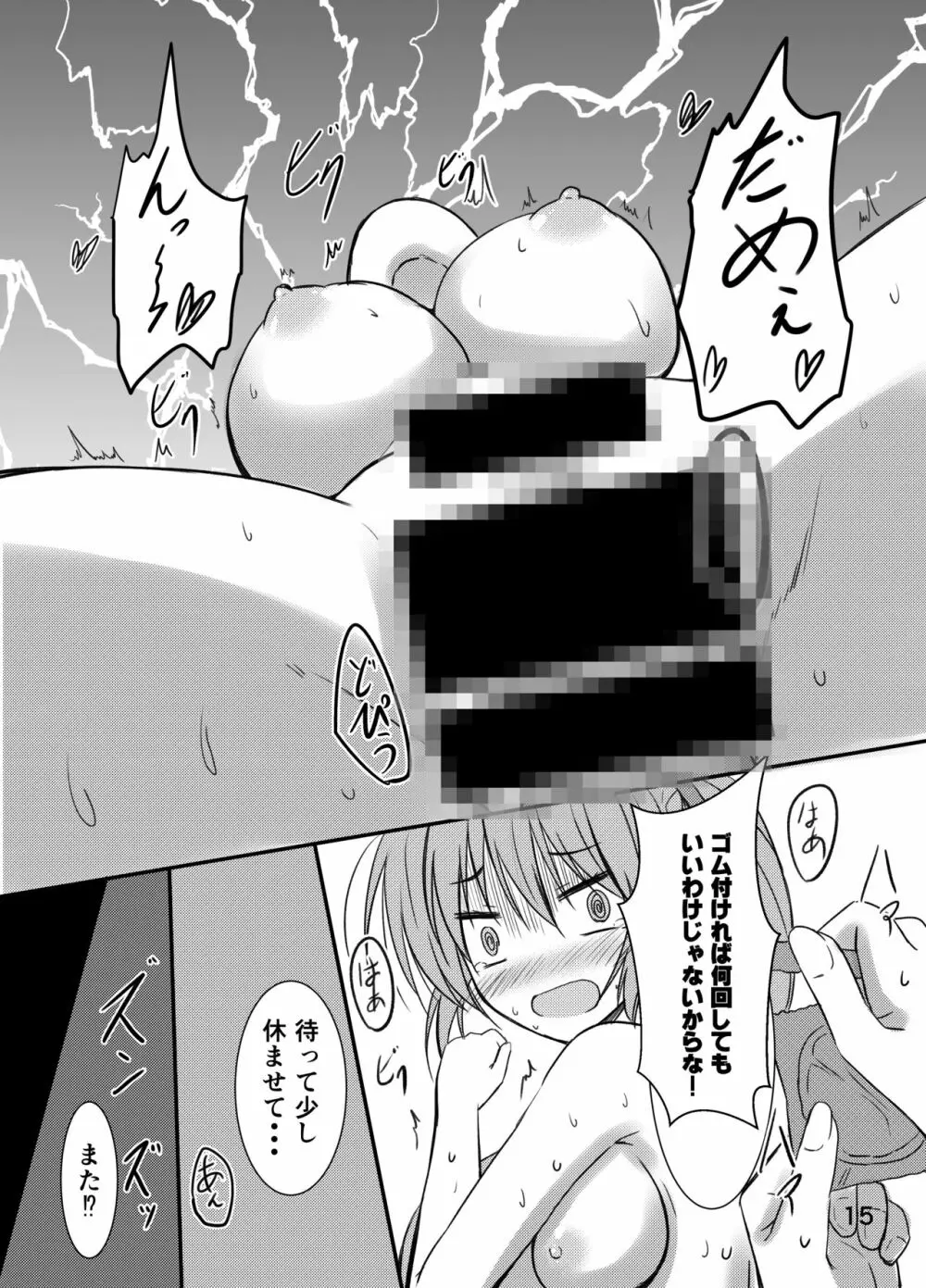 シグナムお姉さんがあなたくんに教えるセックスのてほどき 15ページ