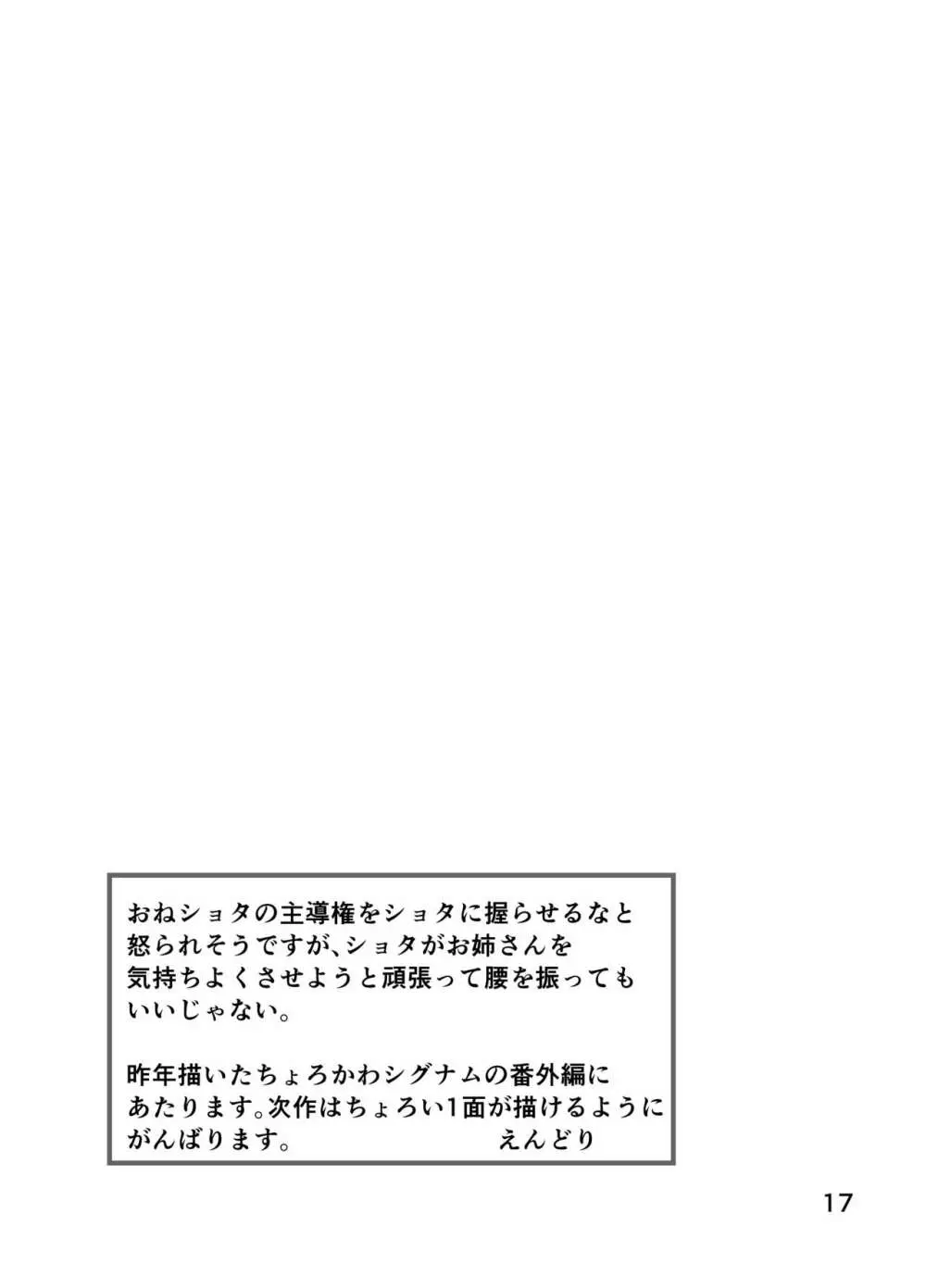 シグナムお姉さんがあなたくんに教えるセックスのてほどき 17ページ