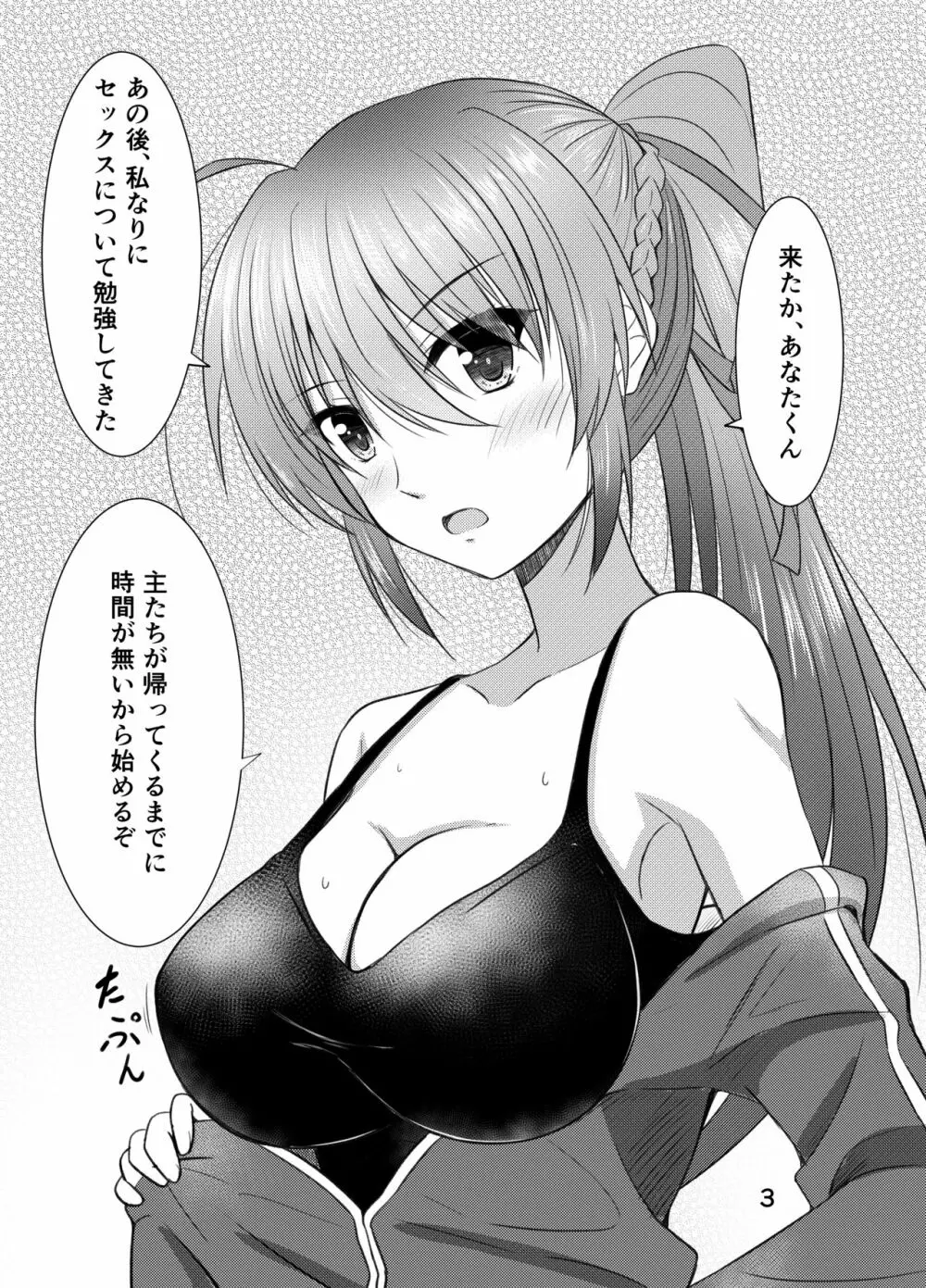 シグナムお姉さんがあなたくんに教えるセックスのてほどき 3ページ