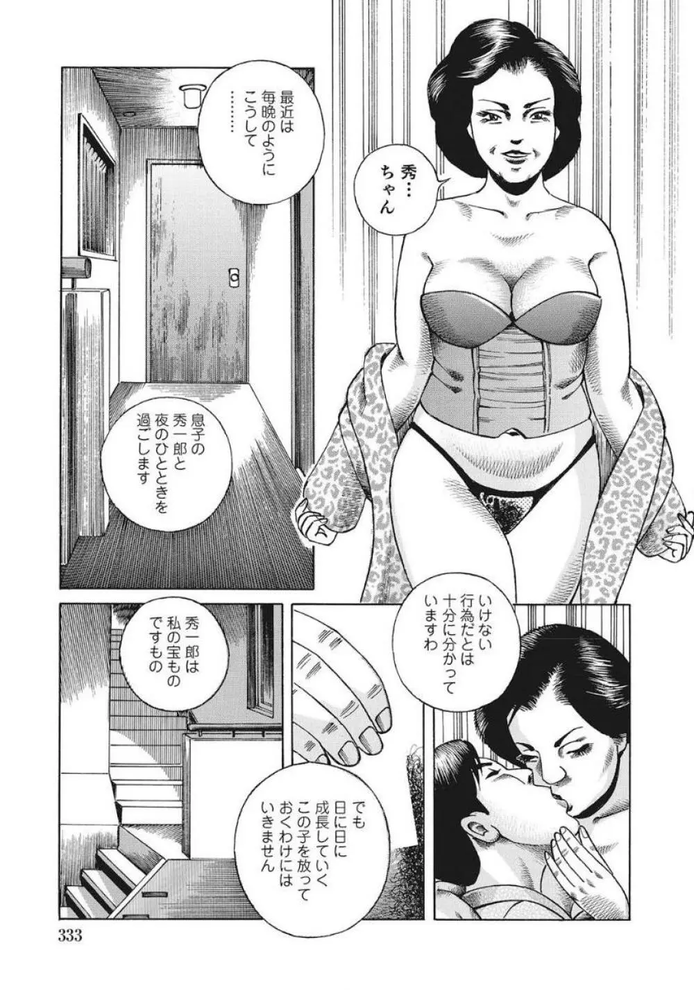 人妻たち隠された性体験を暴露 333ページ