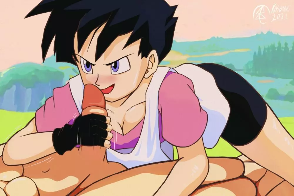 Videl 27ページ