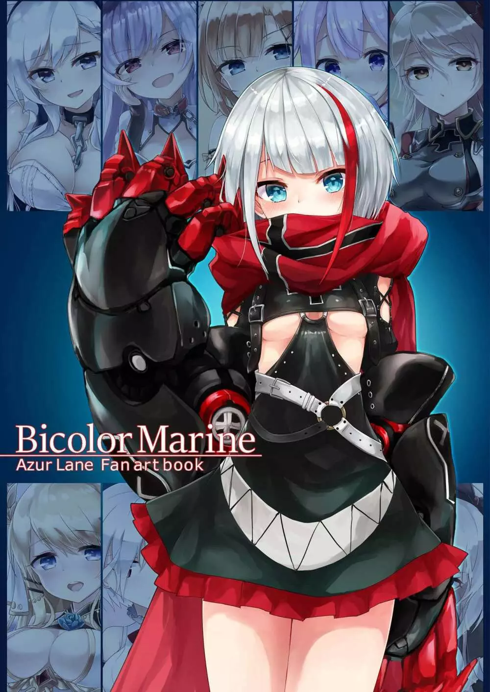 BicolorMarine 1ページ