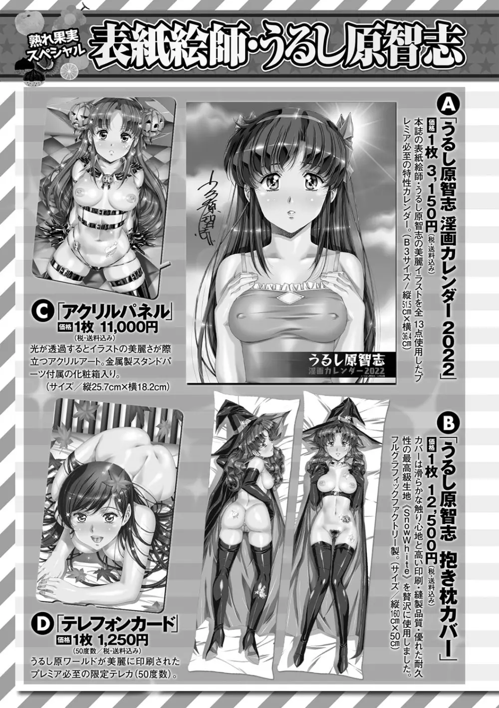 コミックマショウ 2021年12月号 228ページ