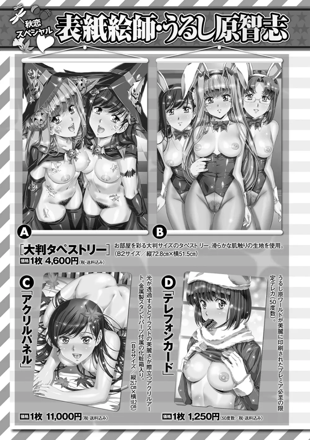 コミックマショウ 2022年1月号 260ページ