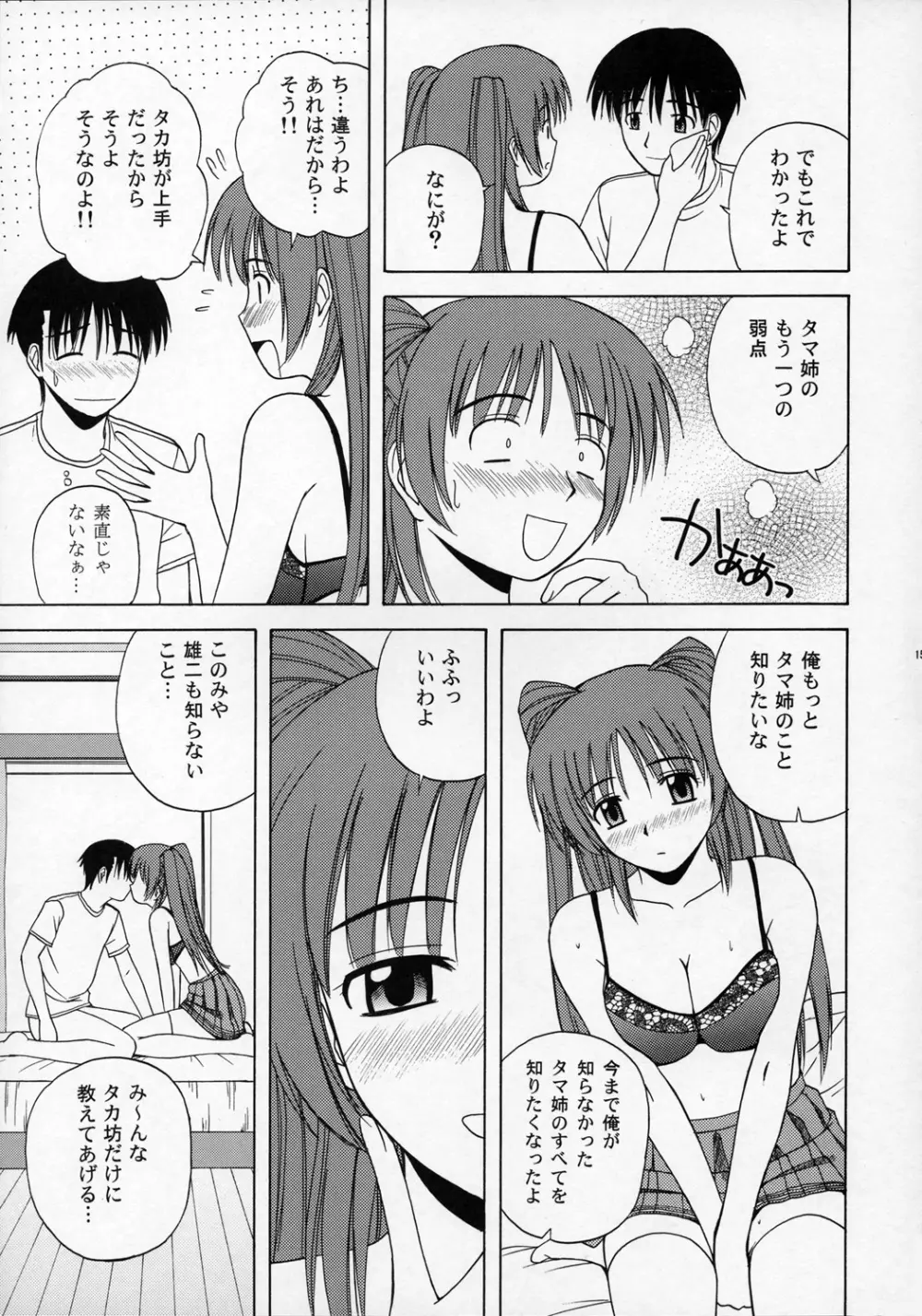 タマ姉といっしょ 14ページ