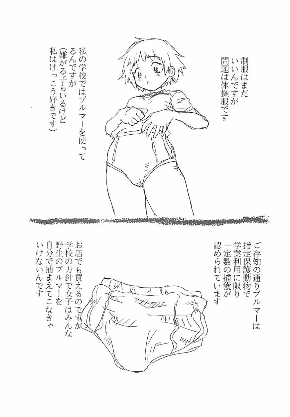 ひまわり 172ページ