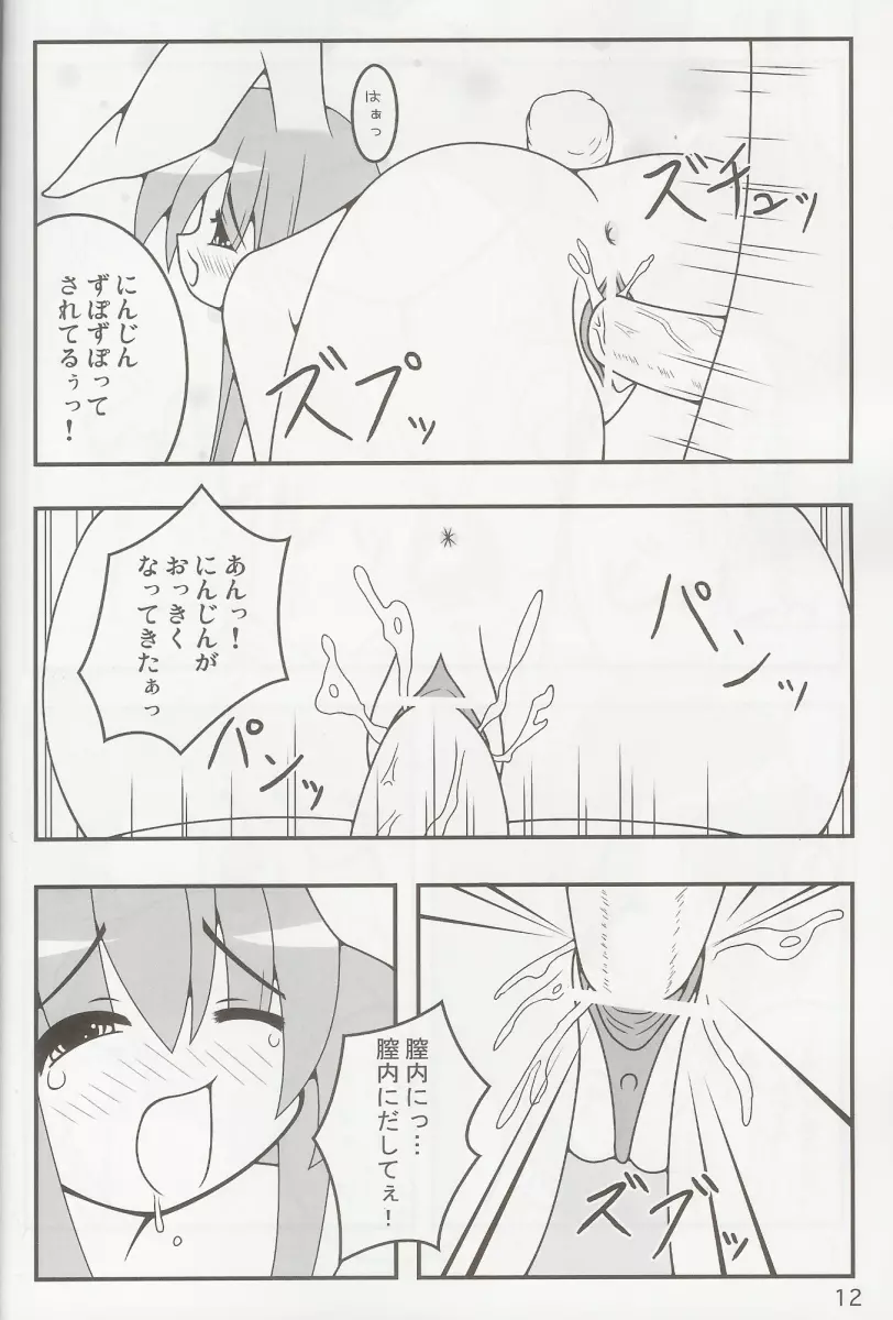 東方妄想郷 4 11ページ