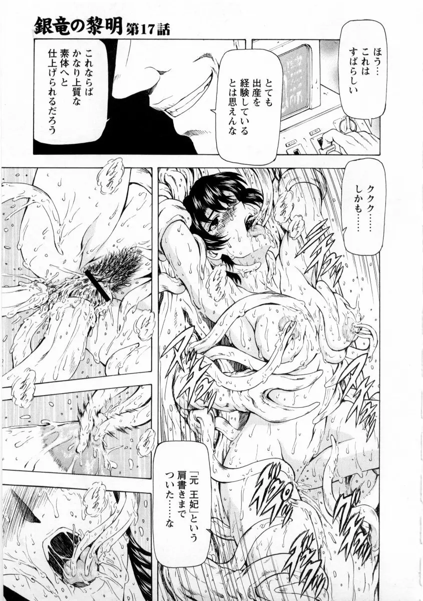 銀竜の黎明 VOL.2 171ページ