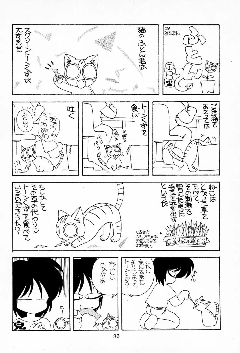 Plumule 幼芽 36ページ