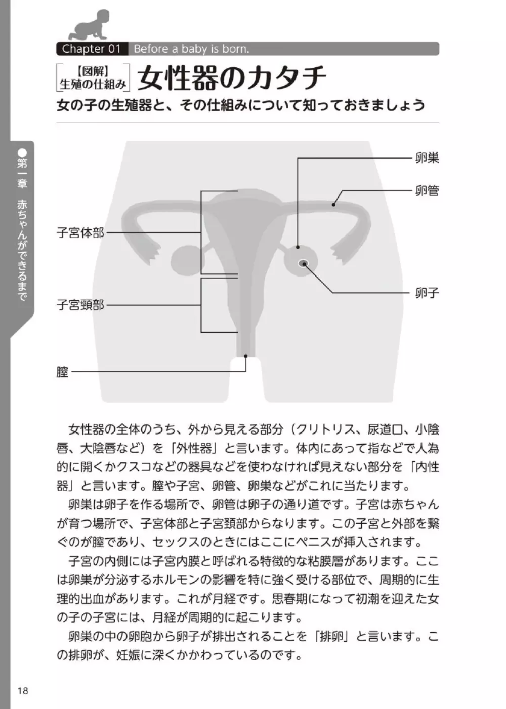 やらなくてもまんがで解る性交と妊娠 赤ちゃんのつくり方 19ページ