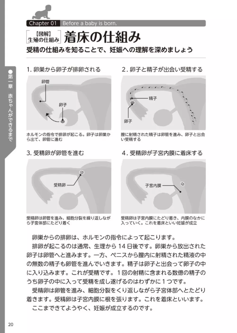 やらなくてもまんがで解る性交と妊娠 赤ちゃんのつくり方 21ページ