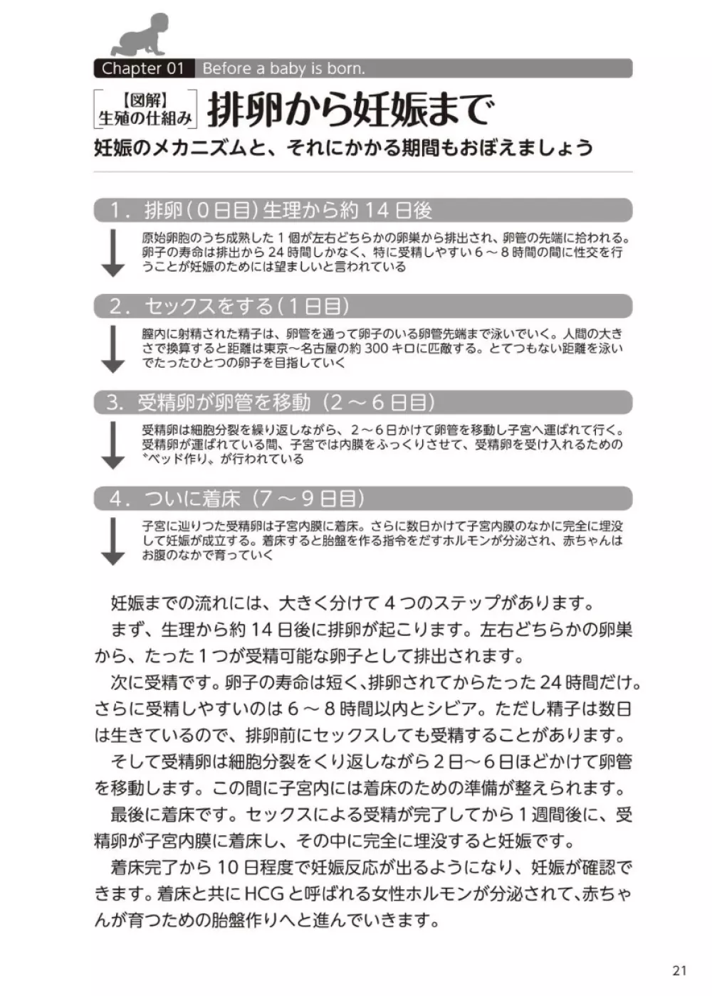 やらなくてもまんがで解る性交と妊娠 赤ちゃんのつくり方 22ページ