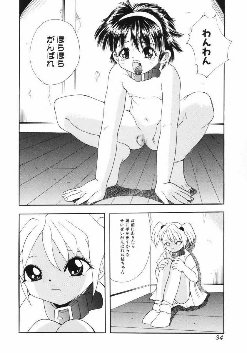 つるぺた体罰少女 35ページ