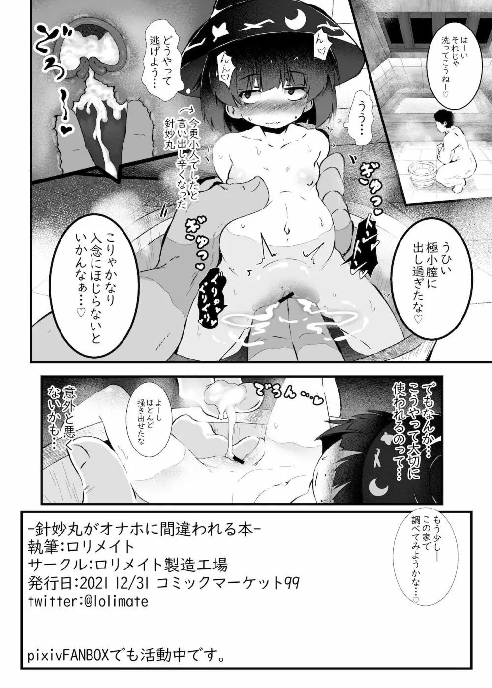 針妙丸がオナホに間違われる本 10ページ