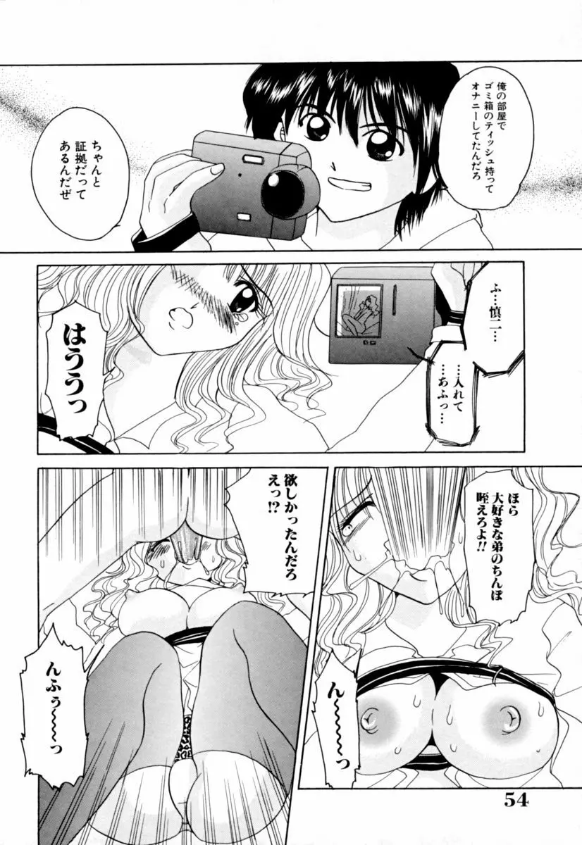 実姉パラダイス 54ページ