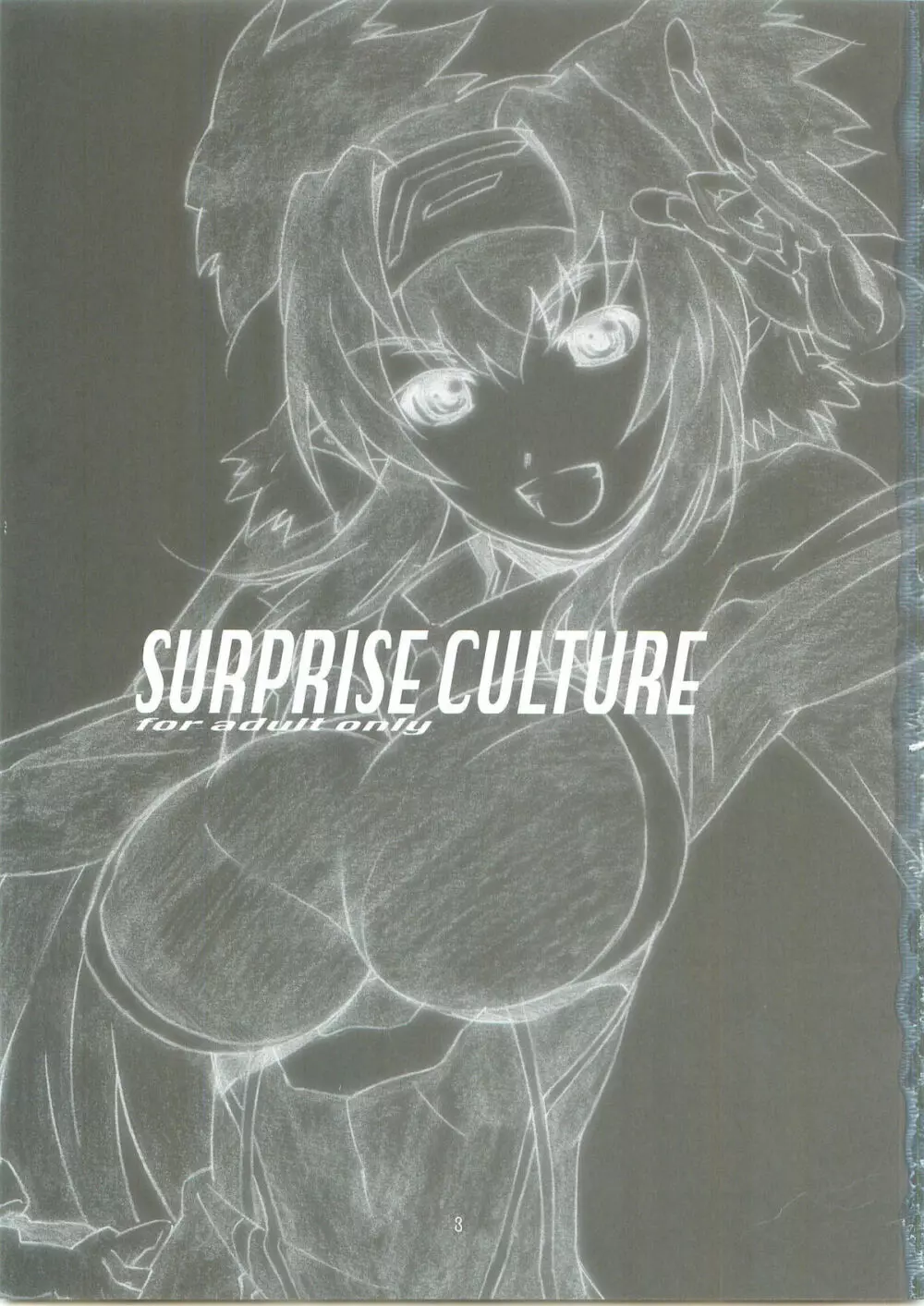 SURPRISE CULTURE 2ページ