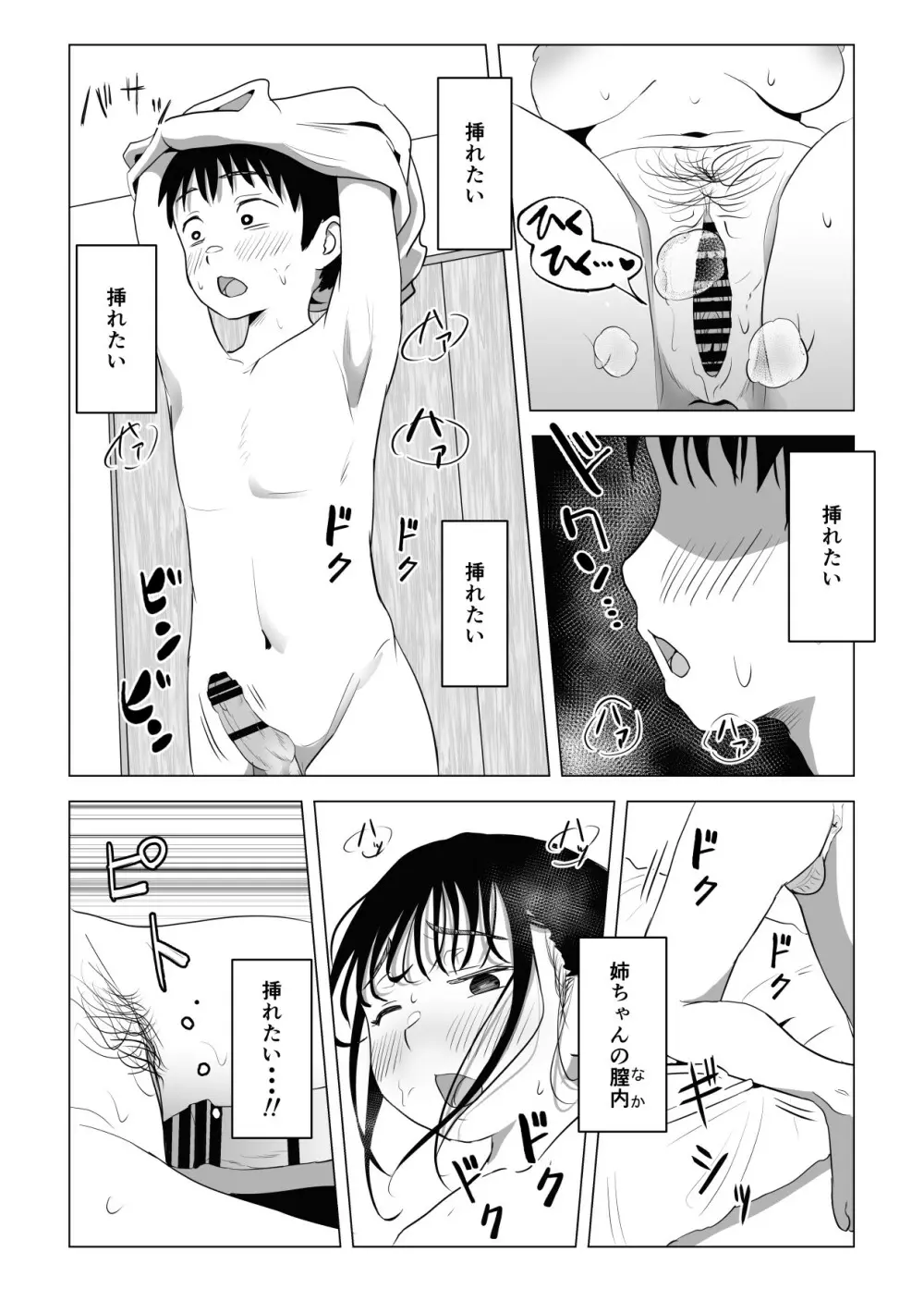 あたりまえせっくす ～姉と弟の日常～ 67ページ