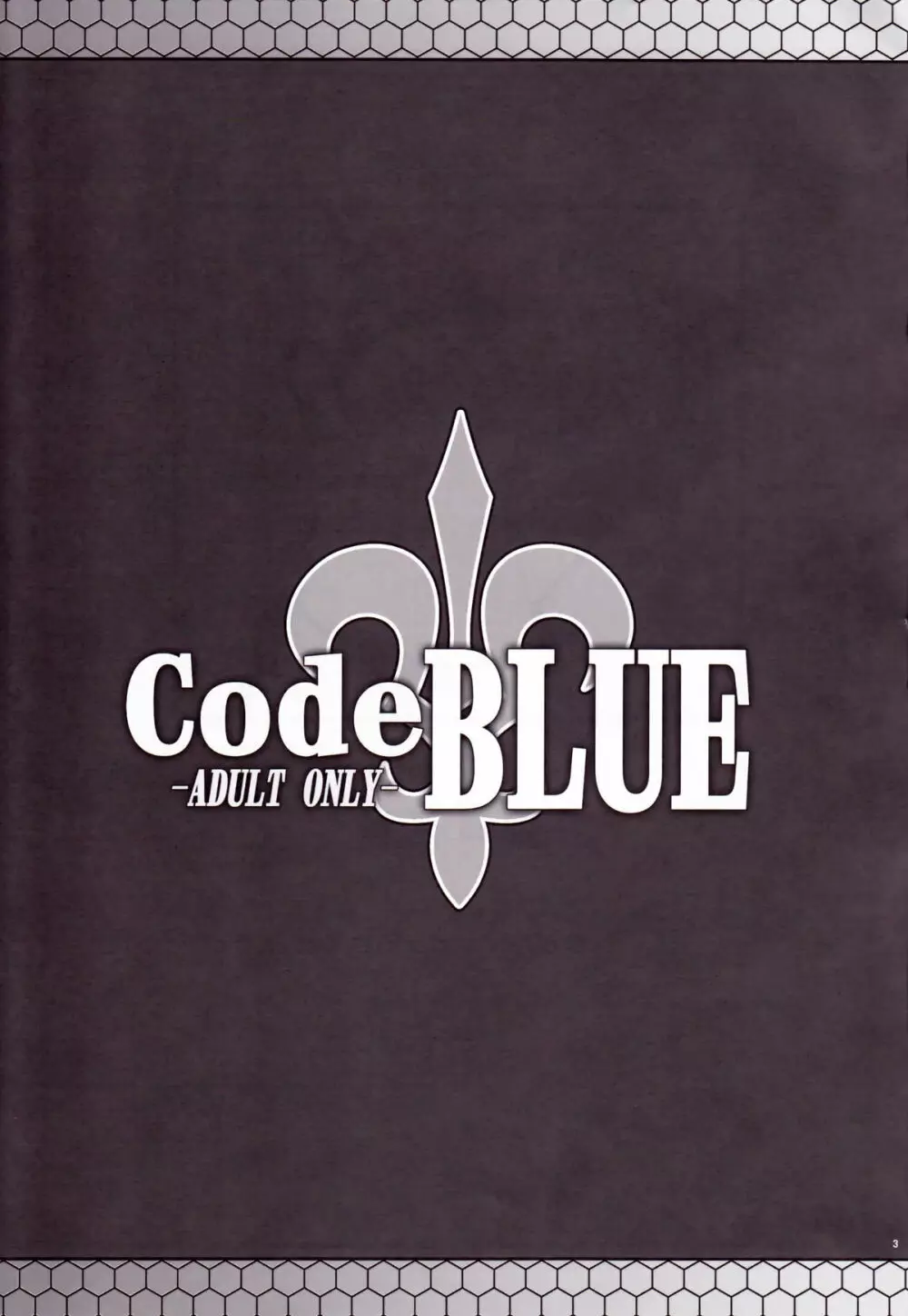 CodeBLUE 2ページ