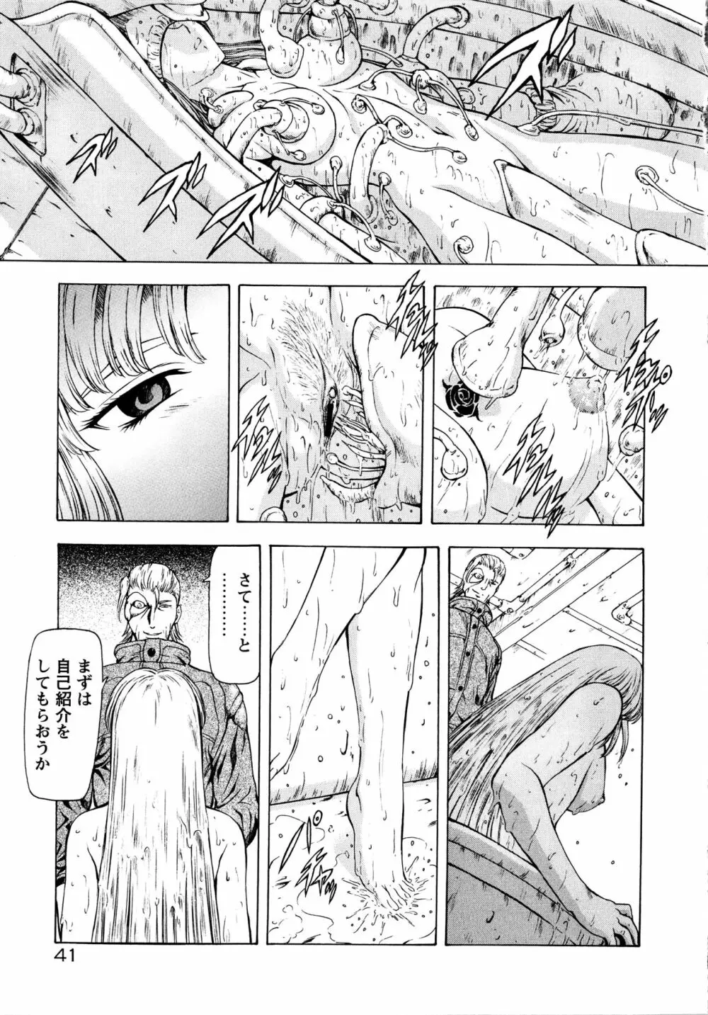 銀竜の黎明 Vol.2 47ページ