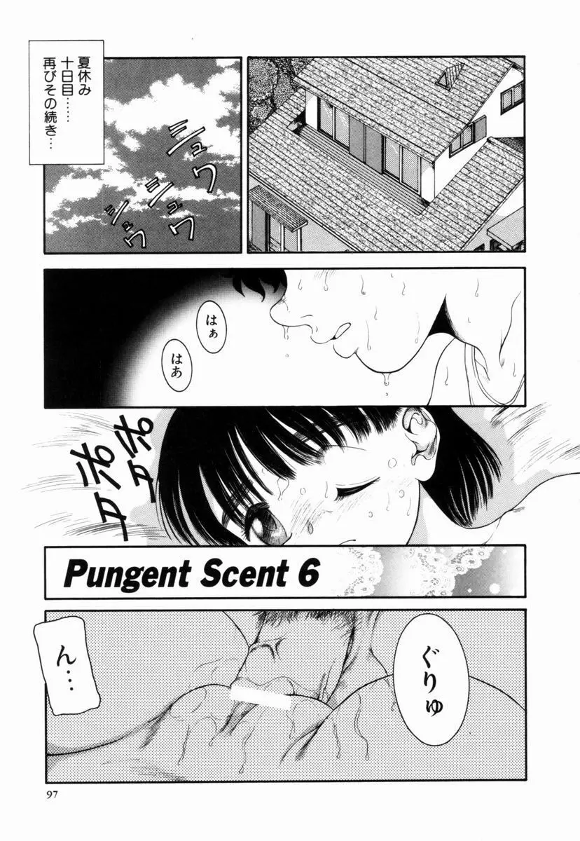 Pungent Scent 魅惑の香り 98ページ