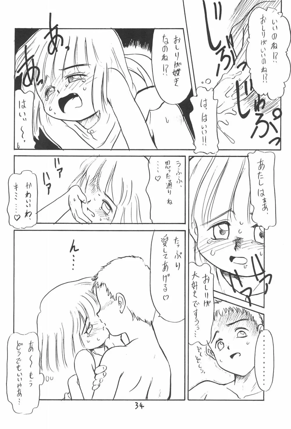 ある意味酷い本 34ページ