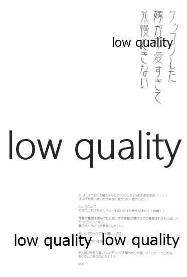 ケッコンした嫁が可愛すぎて我慢できない 15ページ