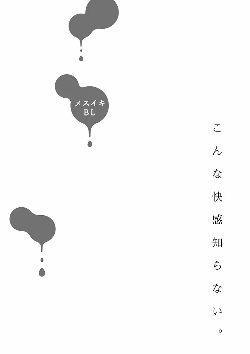 メスイキBL 112ページ