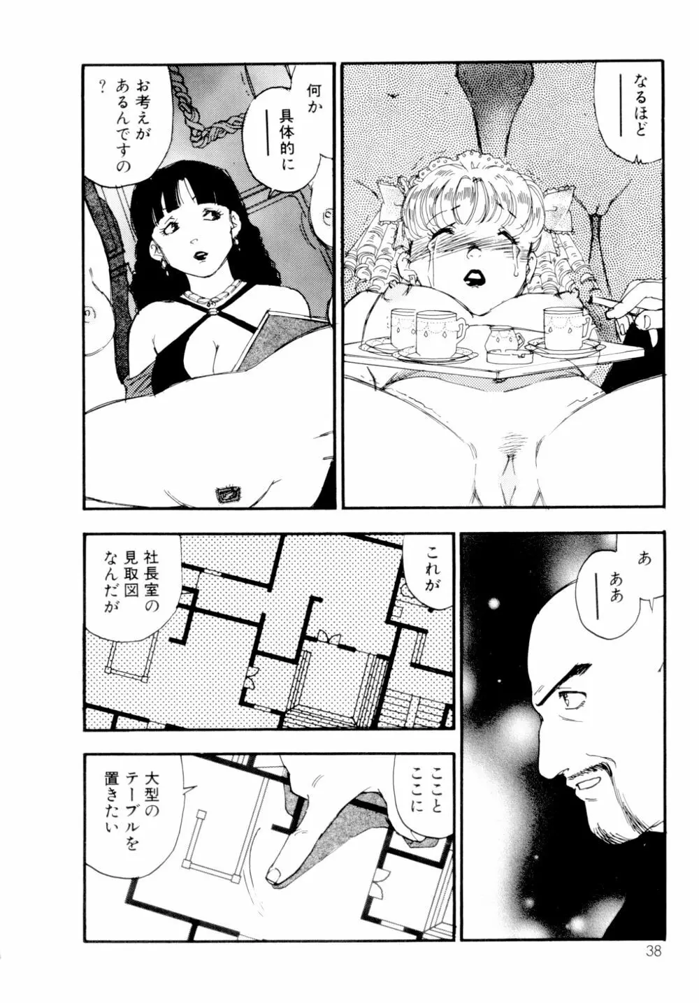 コレクション 美肉の蒐集 39ページ