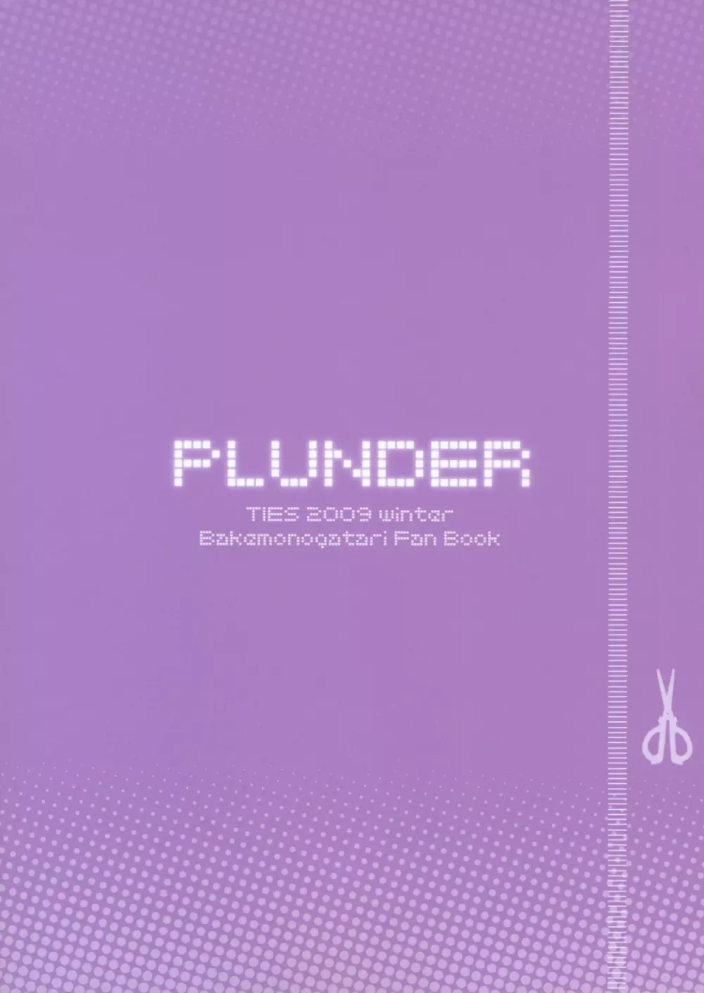 PLUNDER 30ページ