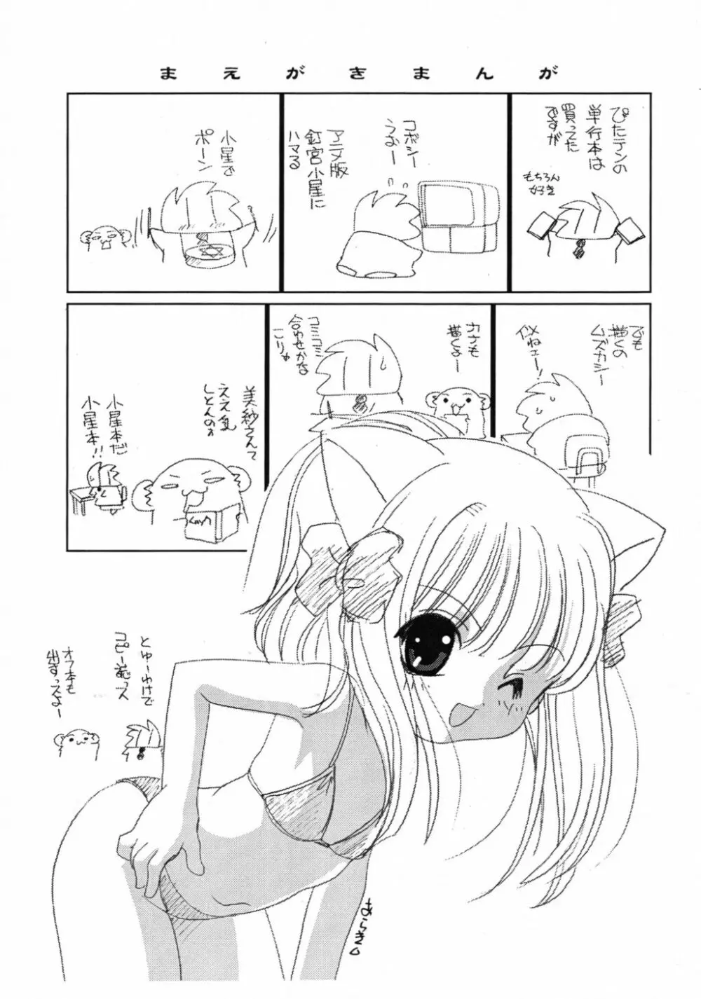 小星のいじり方 3ページ