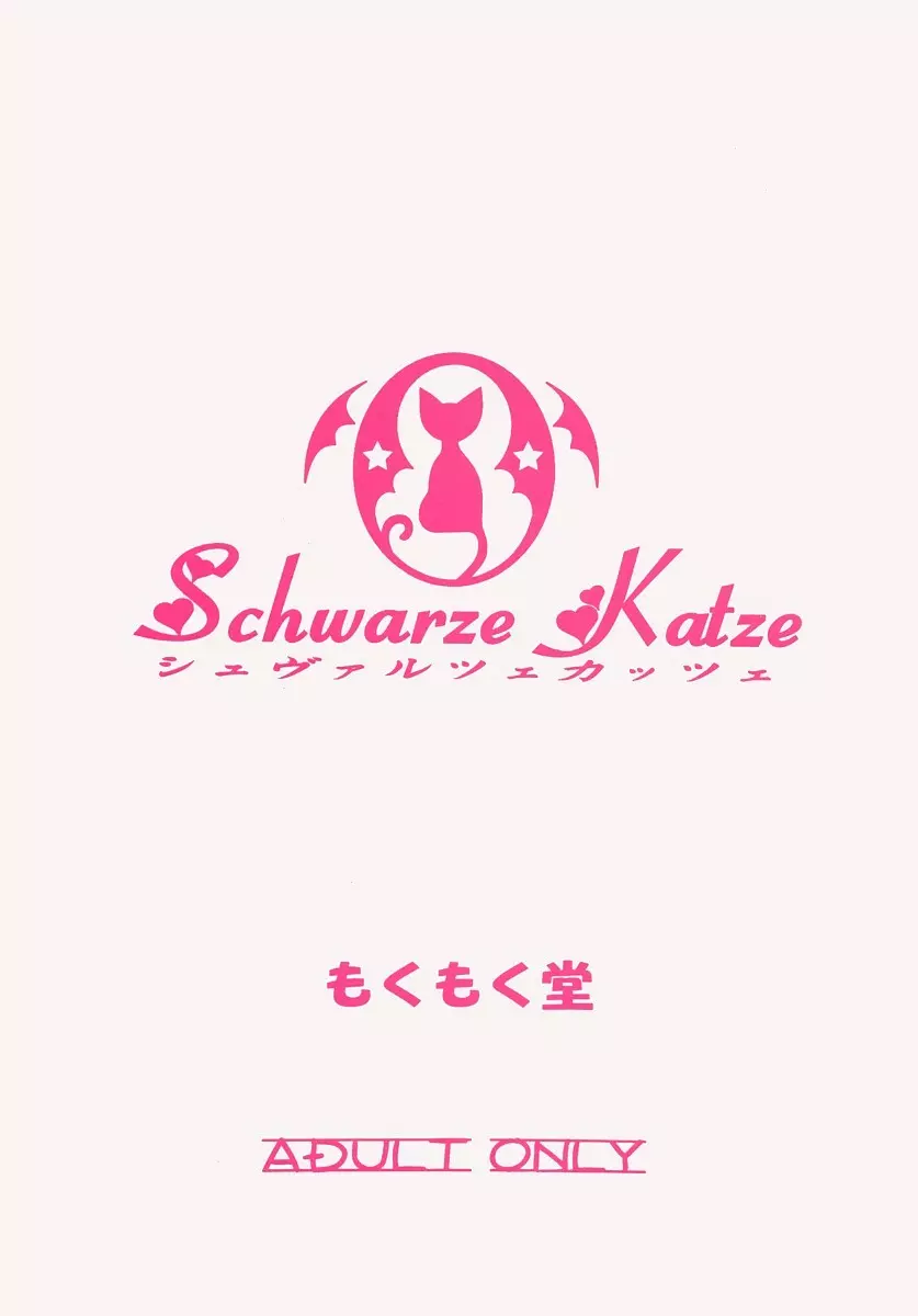 Schwarze Katze 30ページ