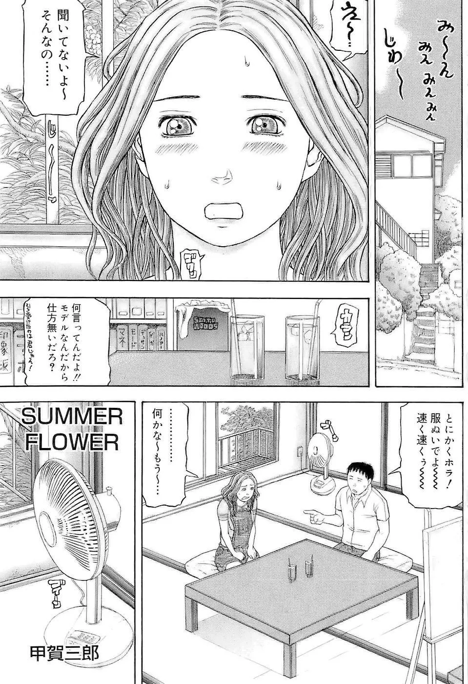 SUMMER FLOWER 6ページ