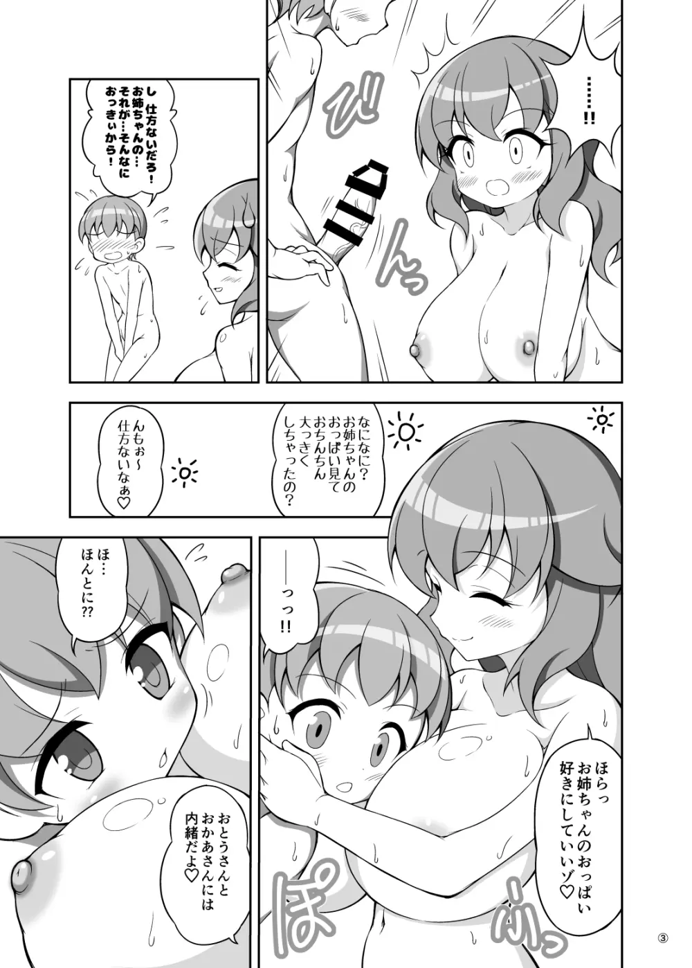 お姉ちゃんと一緒にお風呂に入ったら 3ページ