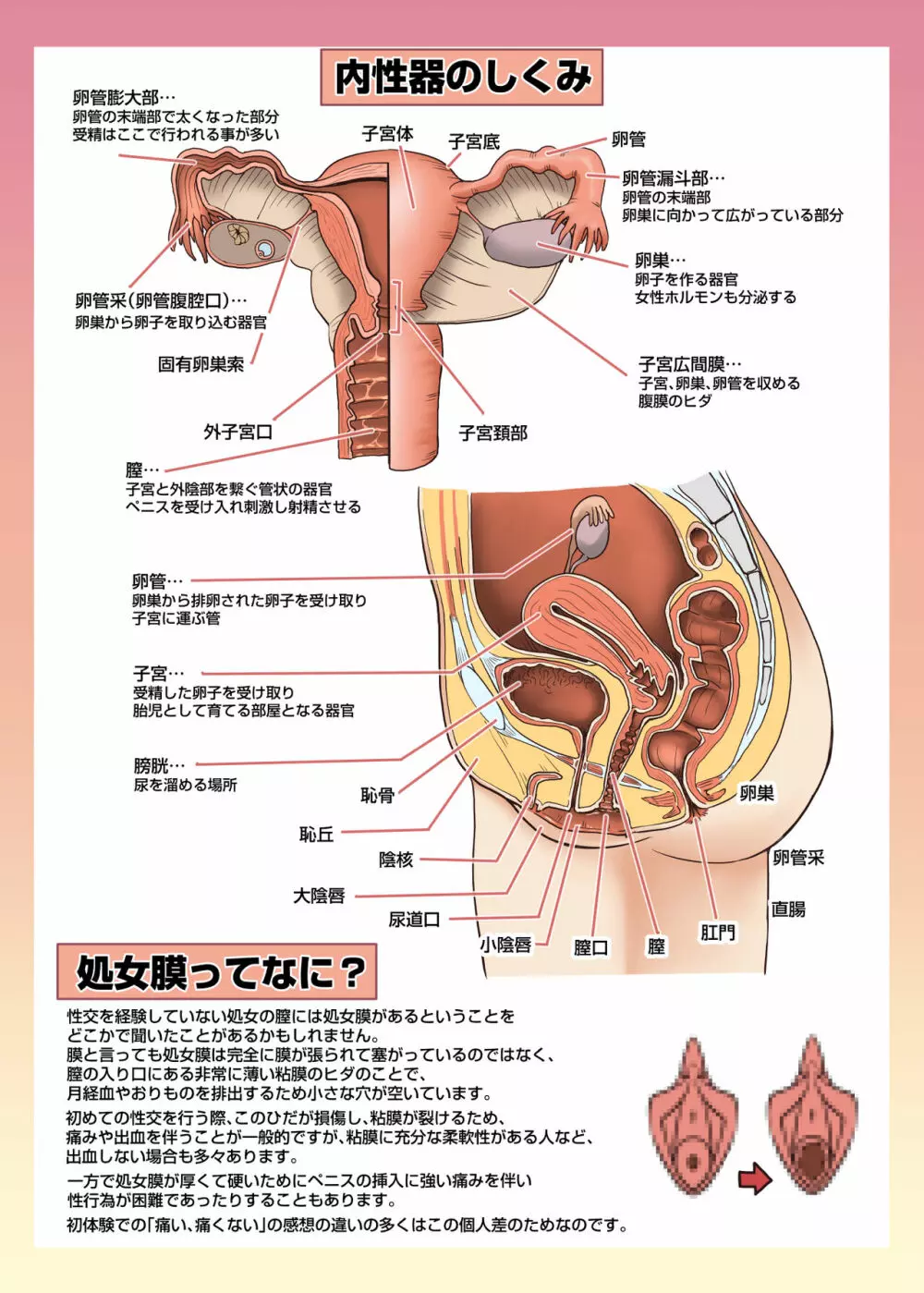 メイドさんと学ぶおんなのこのからだ 16ページ