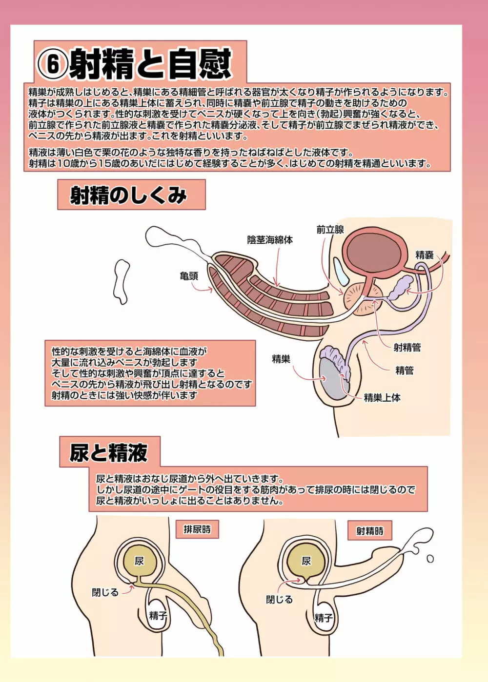 メイドさんと学ぶおんなのこのからだ 27ページ