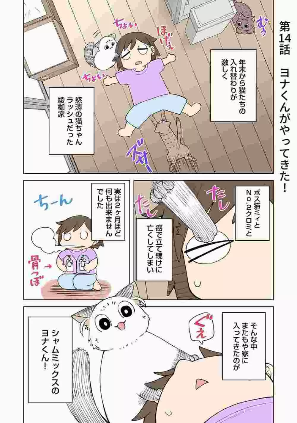 COMIC アナンガ・ランガ Vol.86 223ページ