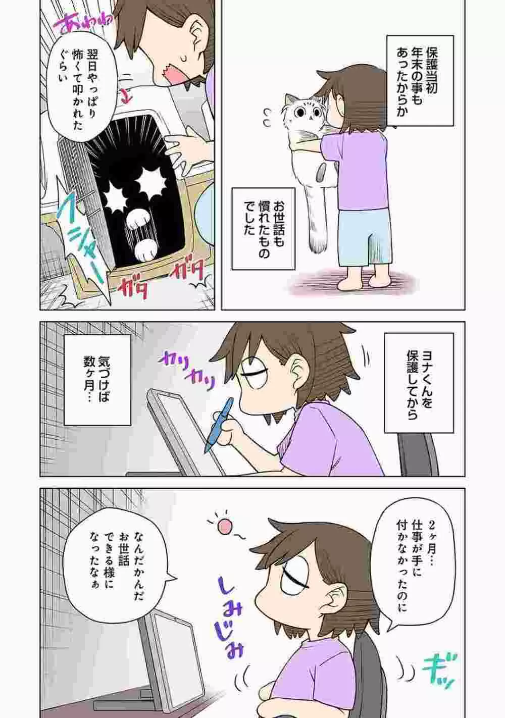 COMIC アナンガ・ランガ Vol.86 224ページ