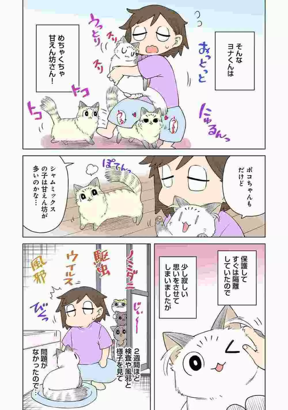 COMIC アナンガ・ランガ Vol.86 225ページ